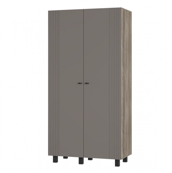 Шкаф 2-х створчатый Олива ШК-03 (1002х2016х510мм) дуб каньон / муссон софт